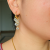 Crystal Cascade Hoop Earrings