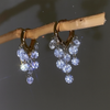 Crystal Cascade Hoop Earrings